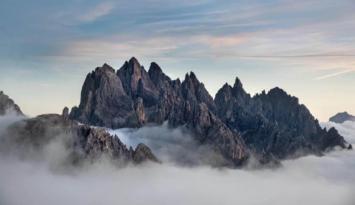 Ale jak gotować wegańsko?