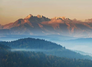 Wspaniały sposób na to jak robić biznes
