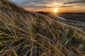 Duża skuteczność w tym jak wykonać reklamę